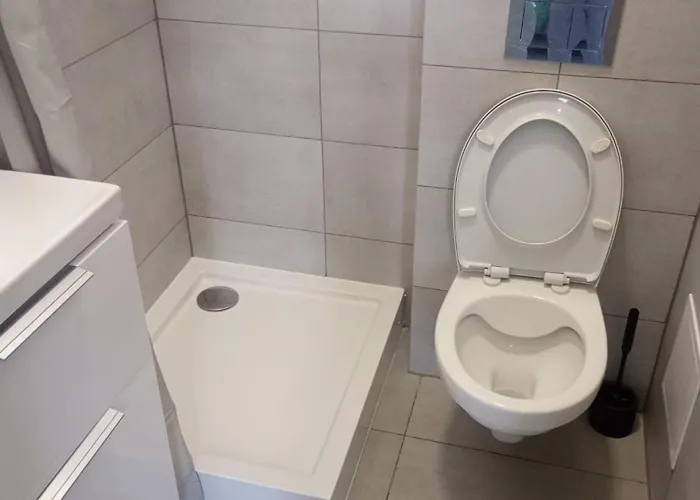 Starbal * Радом